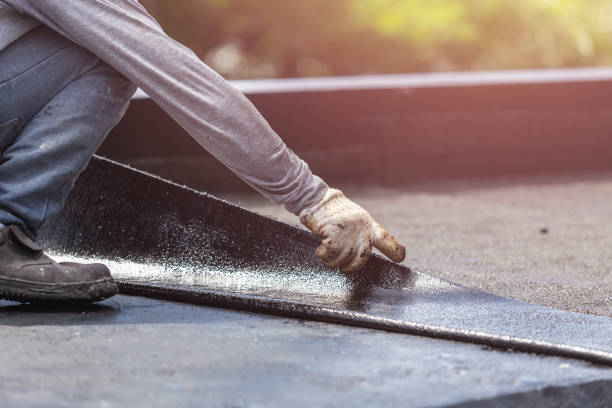 Professional Wet Basement Repair technician working in Falls Church, VA